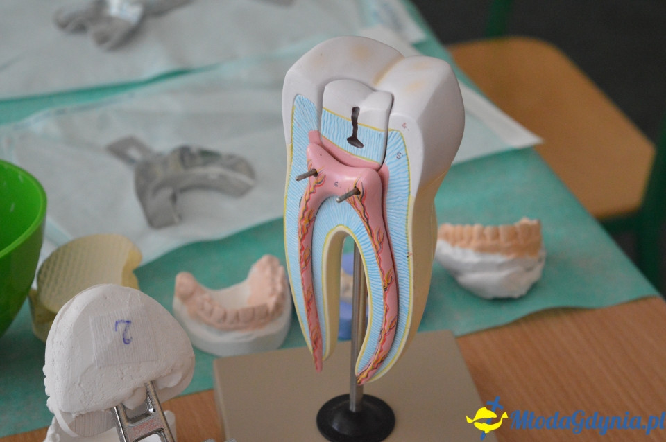 Wojewódzki Zespół Szkół Policealnych w Gdyni - dzień otwarty