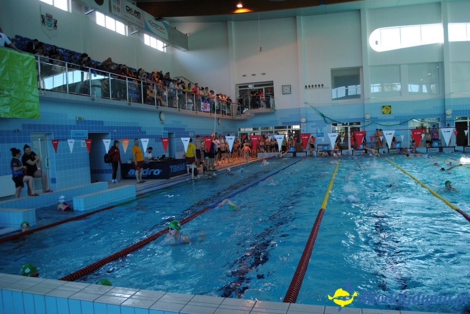 WŁADYSŁAWOWO - 18.04.2019 - KS Delfin