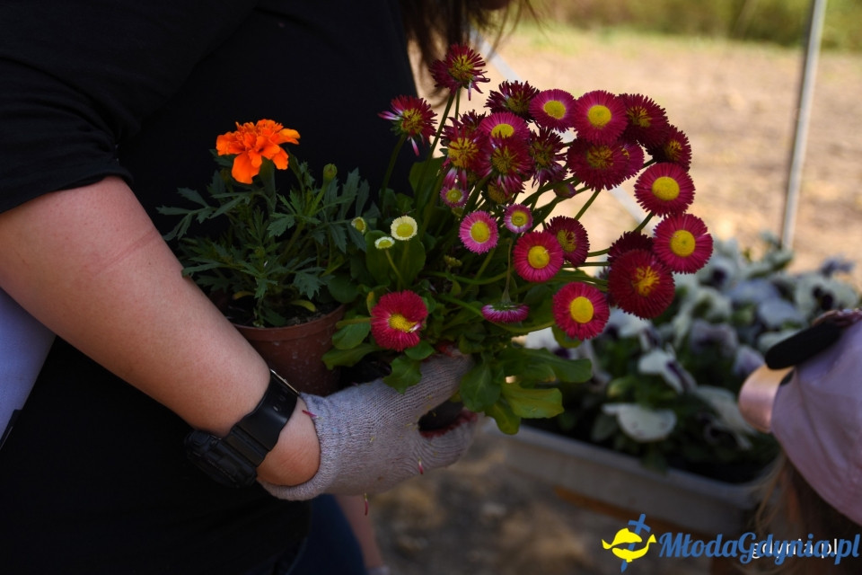 Sąsiedzkie sprzątanie na Oksywiu