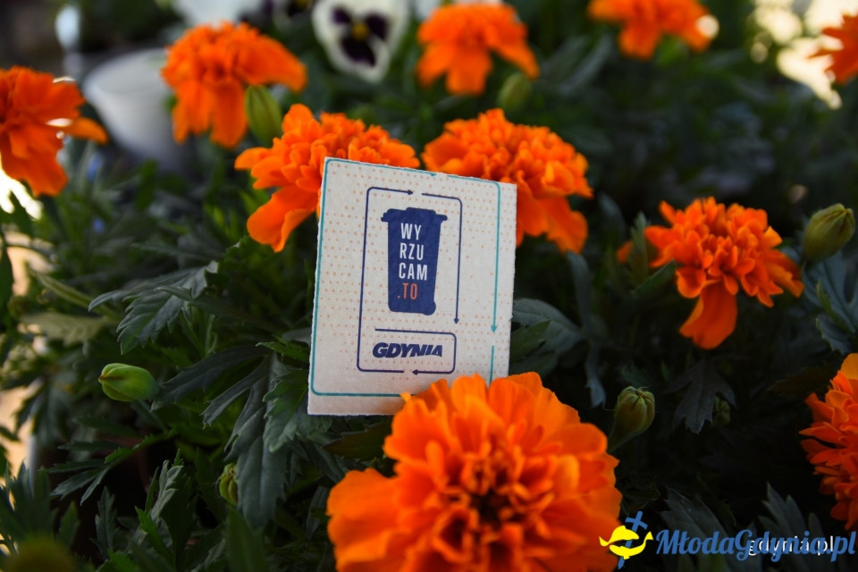 Sąsiedzkie sprzątanie na Oksywiu