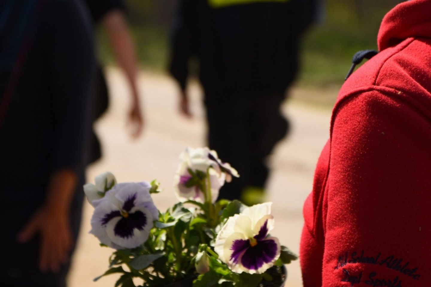 Sąsiedzkie sprzątanie na Oksywiu