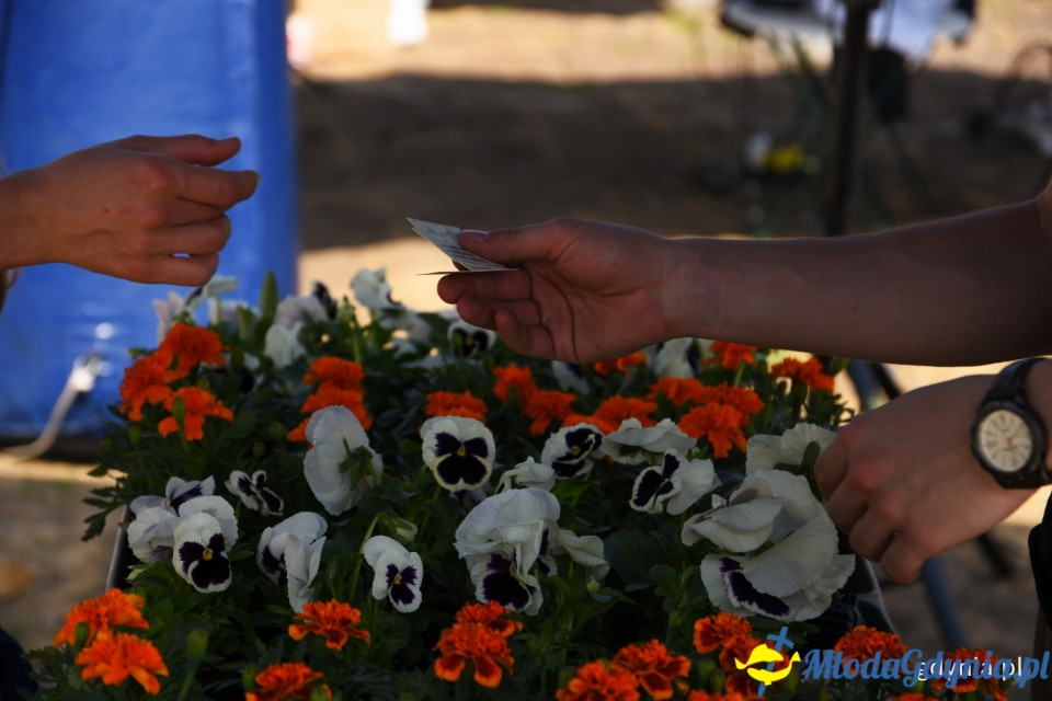 Sąsiedzkie sprzątanie na Oksywiu