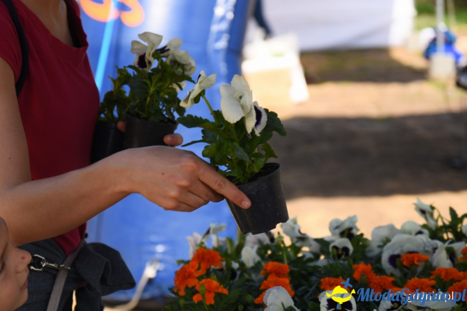 Sąsiedzkie sprzątanie na Oksywiu