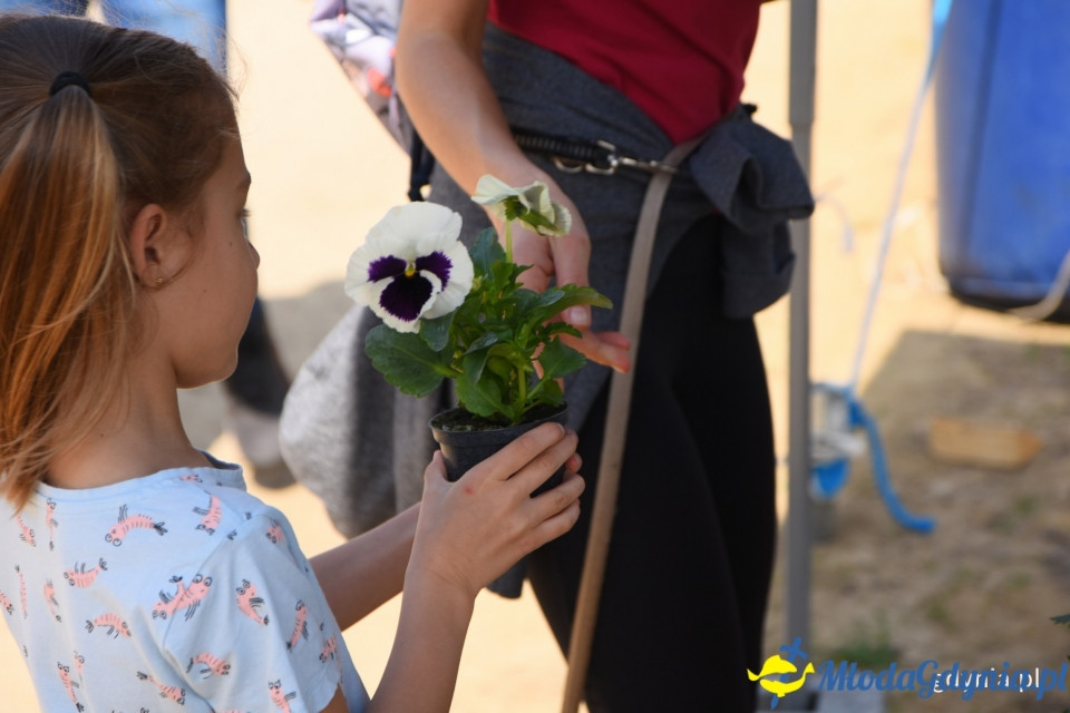 Sąsiedzkie sprzątanie na Oksywiu