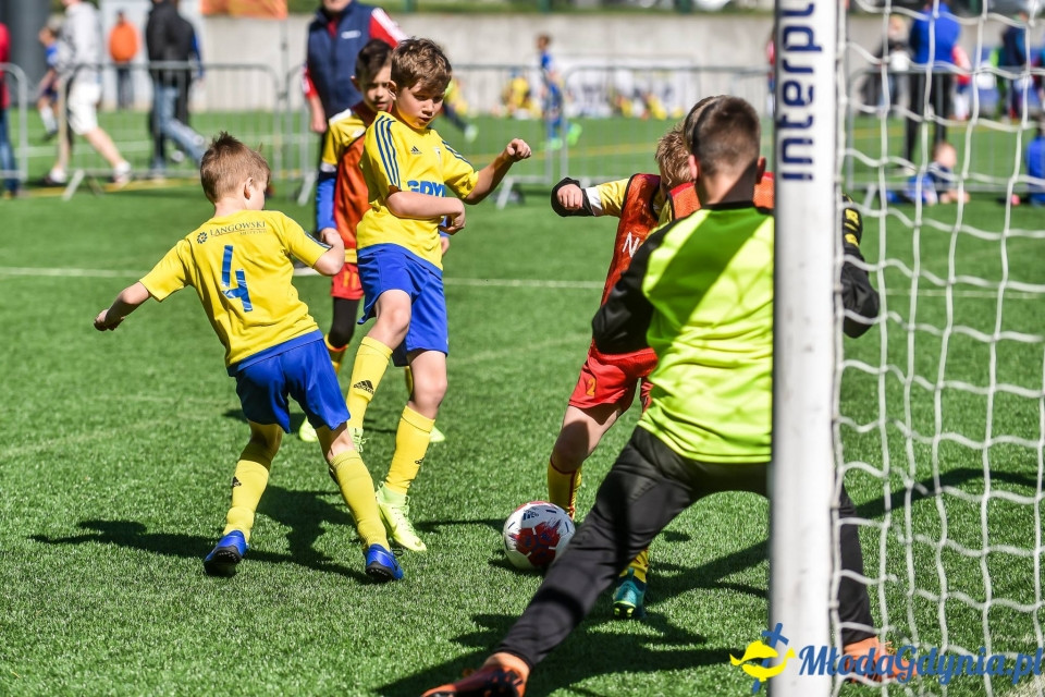 Nasze Mistrzostwa Świata