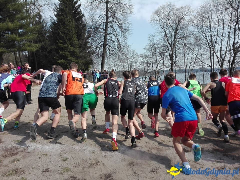 SP 43 - Dawid Tomaszek na XIX Wojewódzkich Igrzyskach Młodzieży Szkolnej w Biegach Przełajowych w Człuchowie