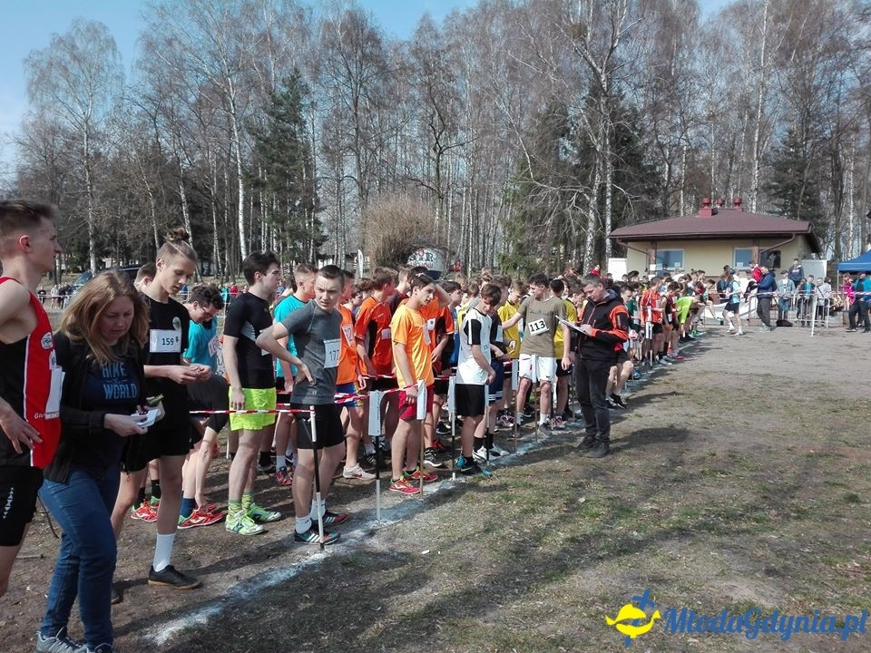 SP 43 - Dawid Tomaszek na XIX Wojewódzkich Igrzyskach Młodzieży Szkolnej w Biegach Przełajowych w Człuchowie