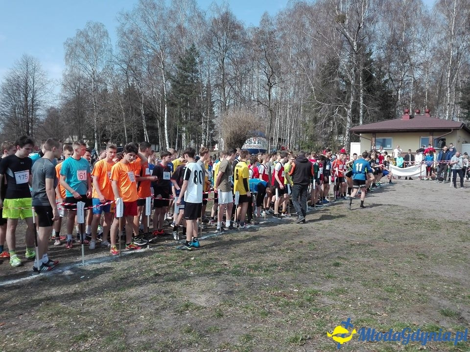 SP 43 - Dawid Tomaszek na XIX Wojewódzkich Igrzyskach Młodzieży Szkolnej w Biegach Przełajowych w Człuchowie