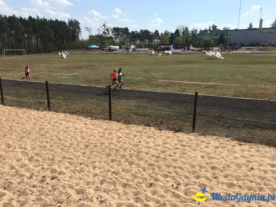 Drużynowe Mistrzostwa Polski w Biegach Przełajowych 2019