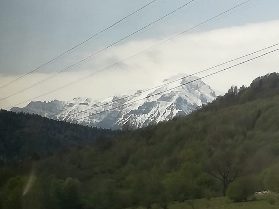 II LO - Moot Court Europe 2019