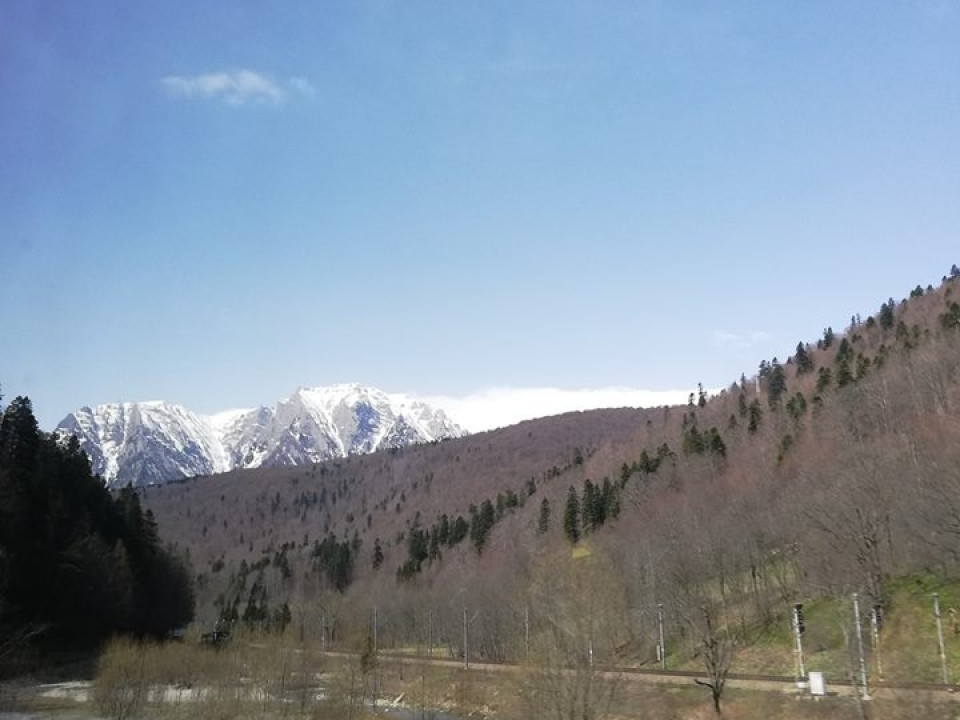 II LO - Moot Court Europe 2019