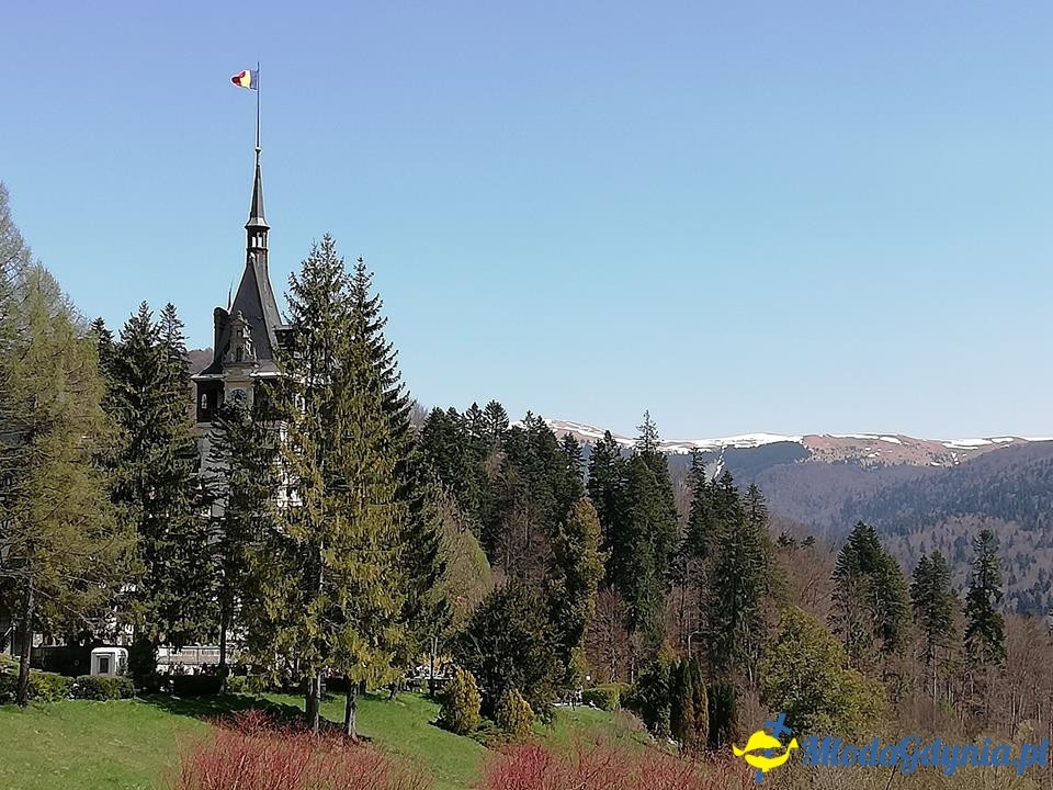 II LO - Moot Court Europe 2019