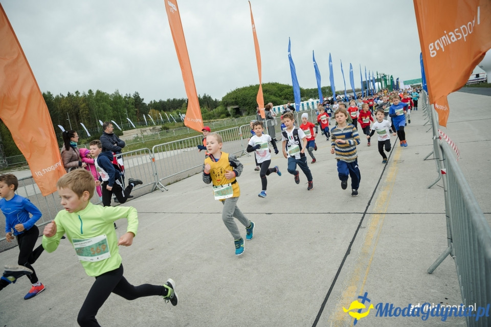 Bieg Europejski z PKO Bankiem Polskim