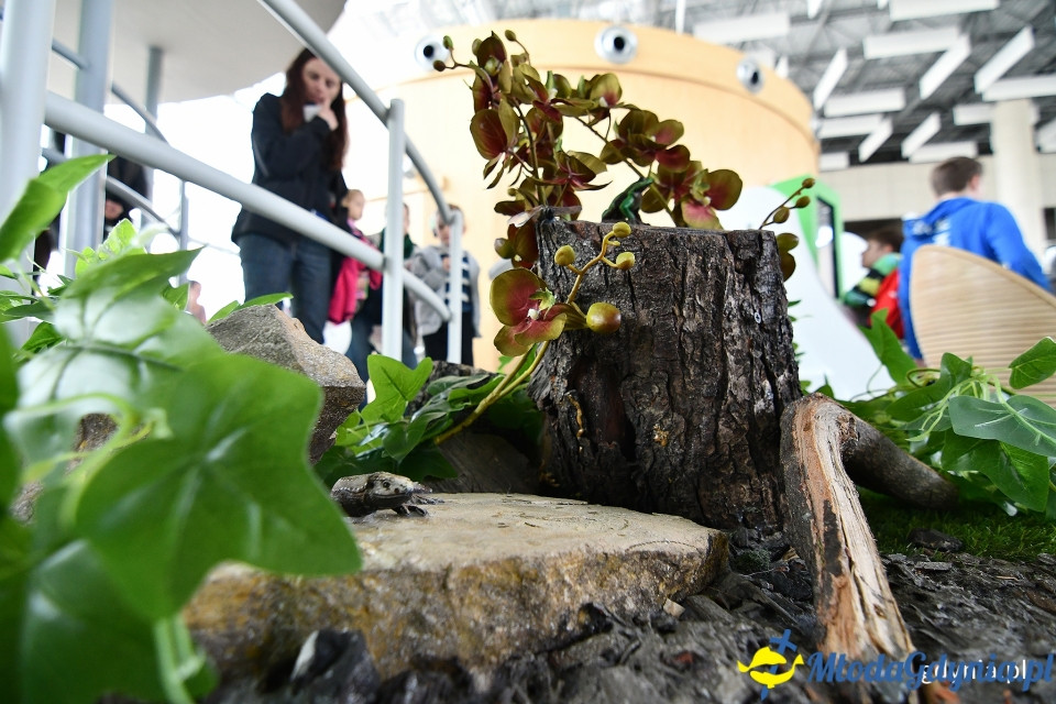 Dni Otwartych Funduszy Europejskich 2019