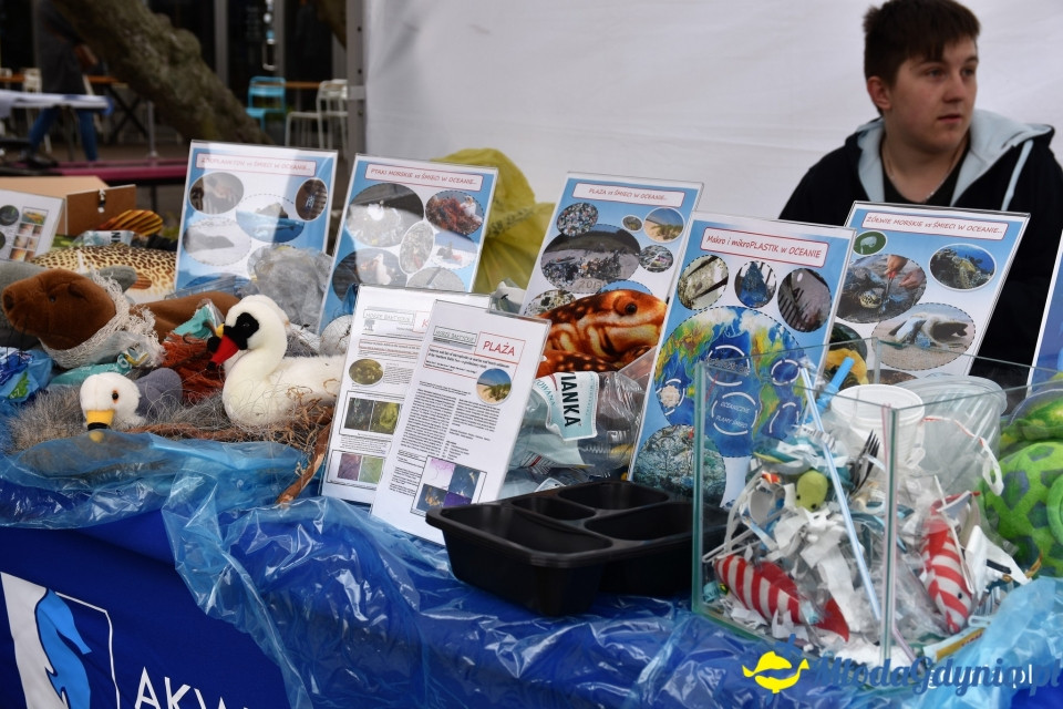 Ekologiczna przystań dobrej zabawy