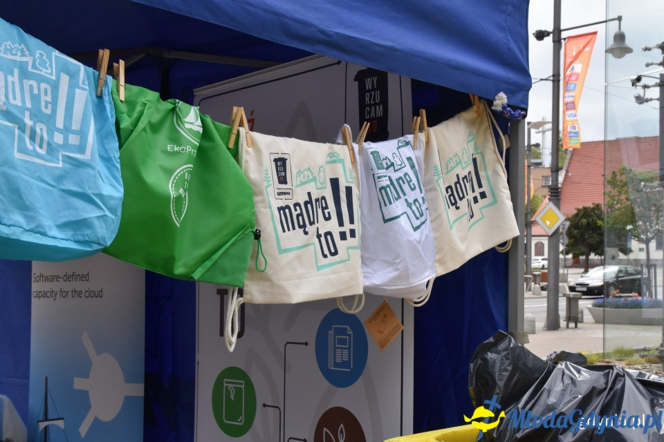 Ekologiczna przystań dobrej zabawy