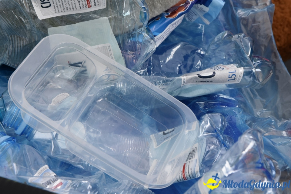 Ekologiczna przystań dobrej zabawy