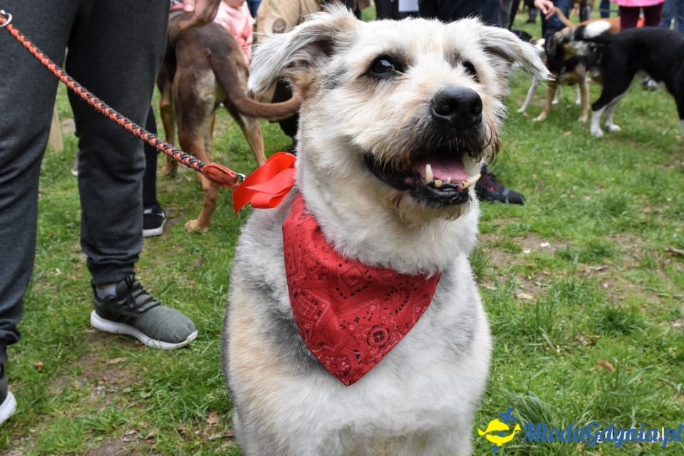 Ula Matula i Mathea zostały Kundelkami Roku 2019