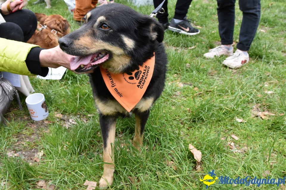 Ula Matula i Mathea zostały Kundelkami Roku 2019