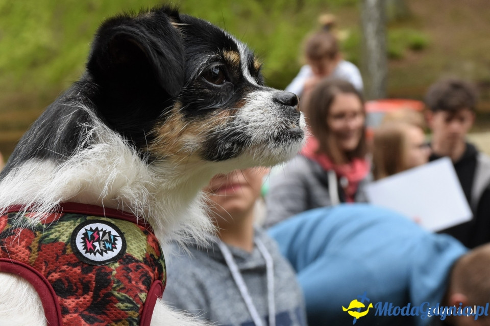 Ula Matula i Mathea zostały Kundelkami Roku 2019