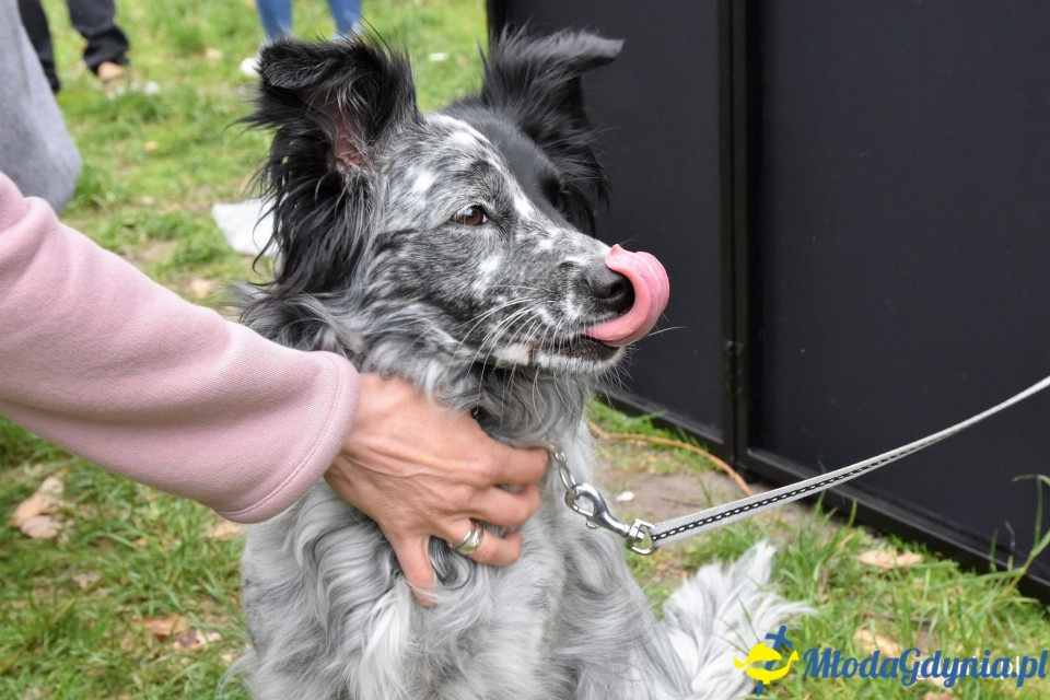Ula Matula i Mathea zostały Kundelkami Roku 2019