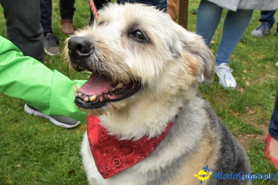 Ula Matula i Mathea zostały Kundelkami Roku 2019