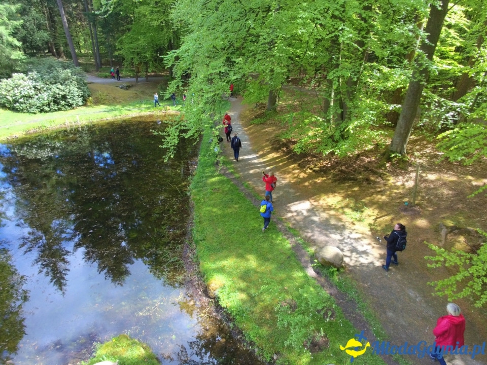 Wycieczka PTTK Klubu Turystycznego Wybrzeże do Arboretum w Wirtach