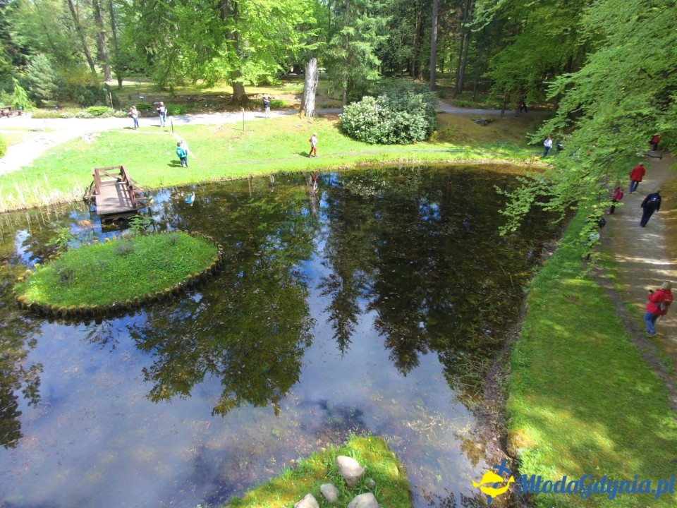 Wycieczka PTTK Klubu Turystycznego Wybrzeże do Arboretum w Wirtach
