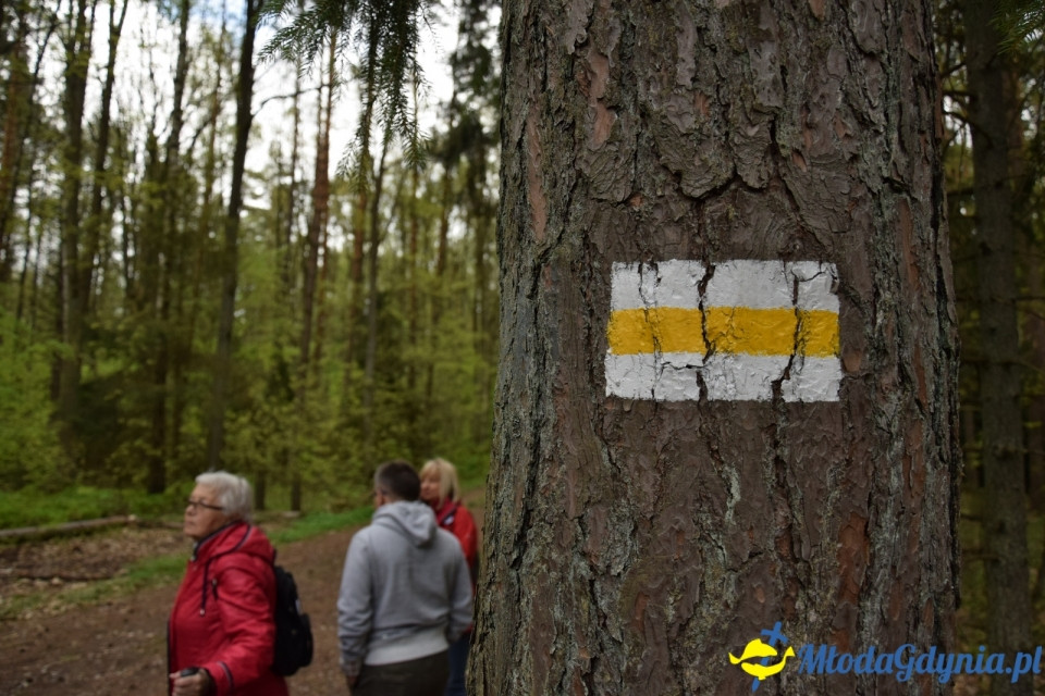 Wycieczka PTTK Klubu Turystycznego Wybrzeże do Arboretum w Wirtach
