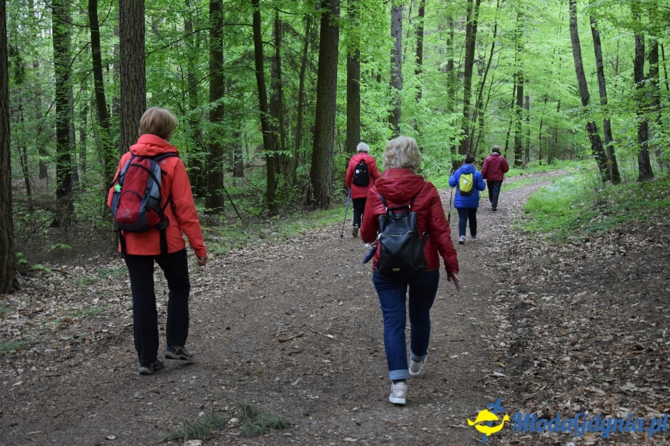 Wycieczka PTTK Klubu Turystycznego Wybrzeże do Arboretum w Wirtach