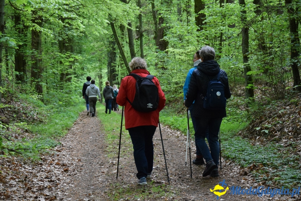 Wycieczka PTTK Klubu Turystycznego Wybrzeże do Arboretum w Wirtach