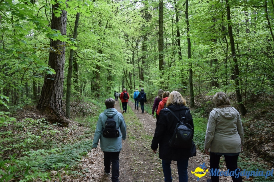 Wycieczka PTTK Klubu Turystycznego Wybrzeże do Arboretum w Wirtach