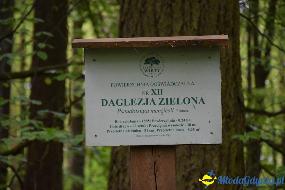 Wycieczka PTTK Klubu Turystycznego Wybrzeże do Arboretum w Wirtach