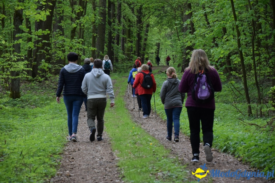 Wycieczka PTTK Klubu Turystycznego Wybrzeże do Arboretum w Wirtach