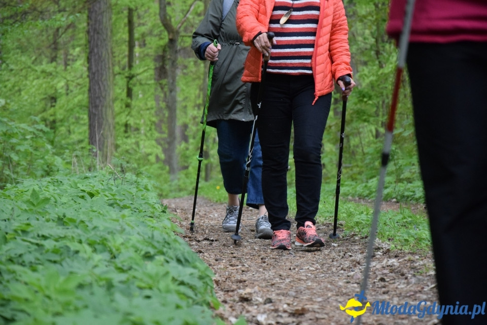 Wycieczka PTTK Klubu Turystycznego Wybrzeże do Arboretum w Wirtach