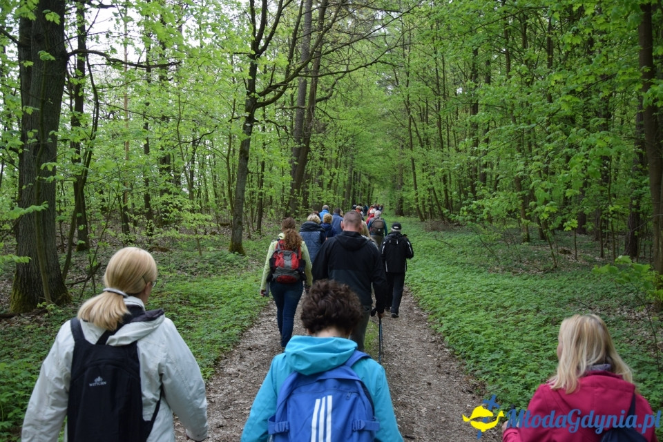 Wycieczka PTTK Klubu Turystycznego Wybrzeże do Arboretum w Wirtach