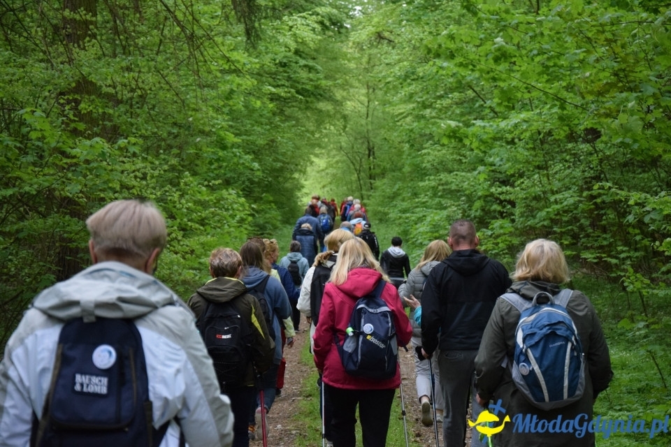 Wycieczka PTTK Klubu Turystycznego Wybrzeże do Arboretum w Wirtach