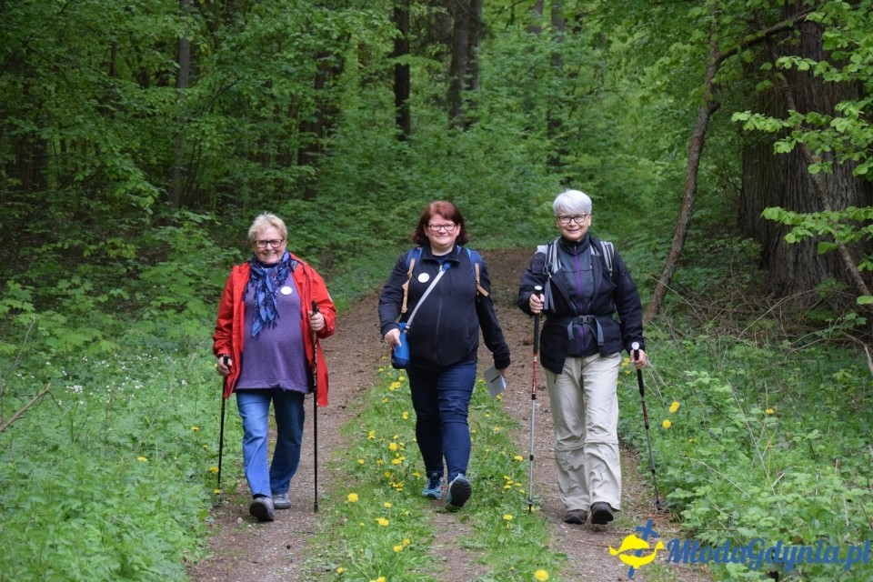 Wycieczka PTTK Klubu Turystycznego Wybrzeże do Arboretum w Wirtach