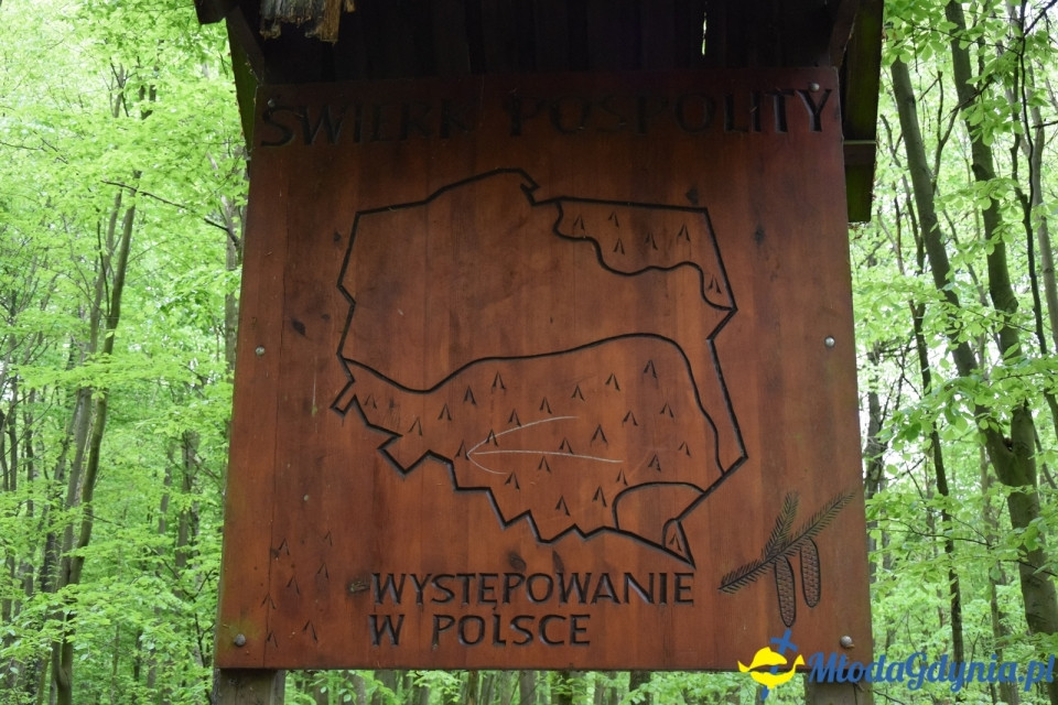 Wycieczka PTTK Klubu Turystycznego Wybrzeże do Arboretum w Wirtach