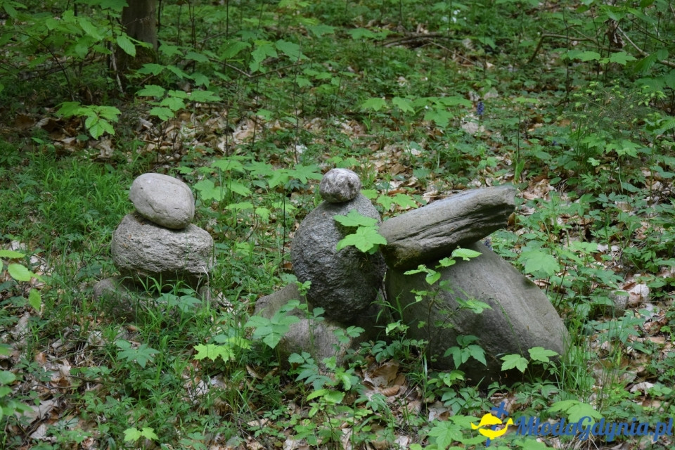 Wycieczka PTTK Klubu Turystycznego Wybrzeże do Arboretum w Wirtach