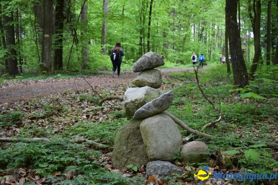Wycieczka PTTK Klubu Turystycznego Wybrzeże do Arboretum w Wirtach