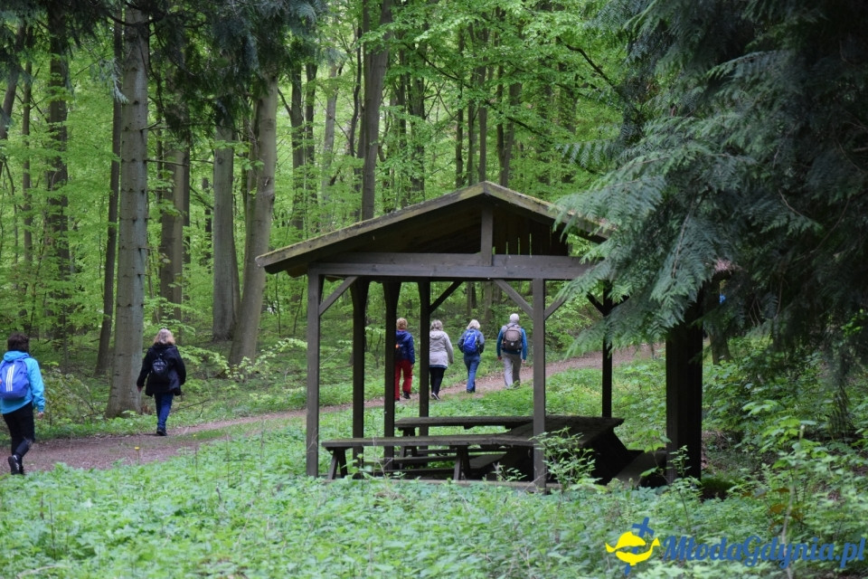 Wycieczka PTTK Klubu Turystycznego Wybrzeże do Arboretum w Wirtach