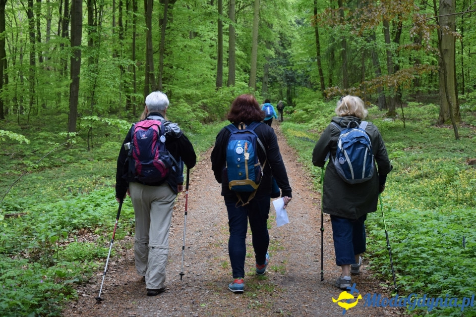 Wycieczka PTTK Klubu Turystycznego Wybrzeże do Arboretum w Wirtach