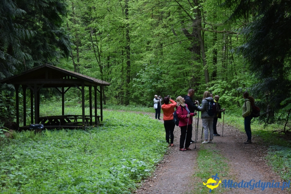 Wycieczka PTTK Klubu Turystycznego Wybrzeże do Arboretum w Wirtach