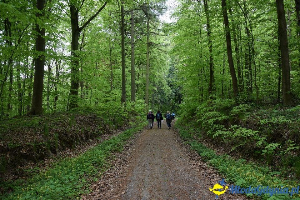 Wycieczka PTTK Klubu Turystycznego Wybrzeże do Arboretum w Wirtach