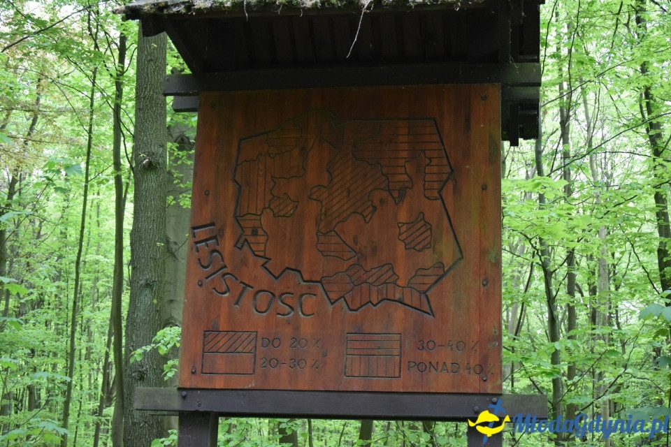 Wycieczka PTTK Klubu Turystycznego Wybrzeże do Arboretum w Wirtach