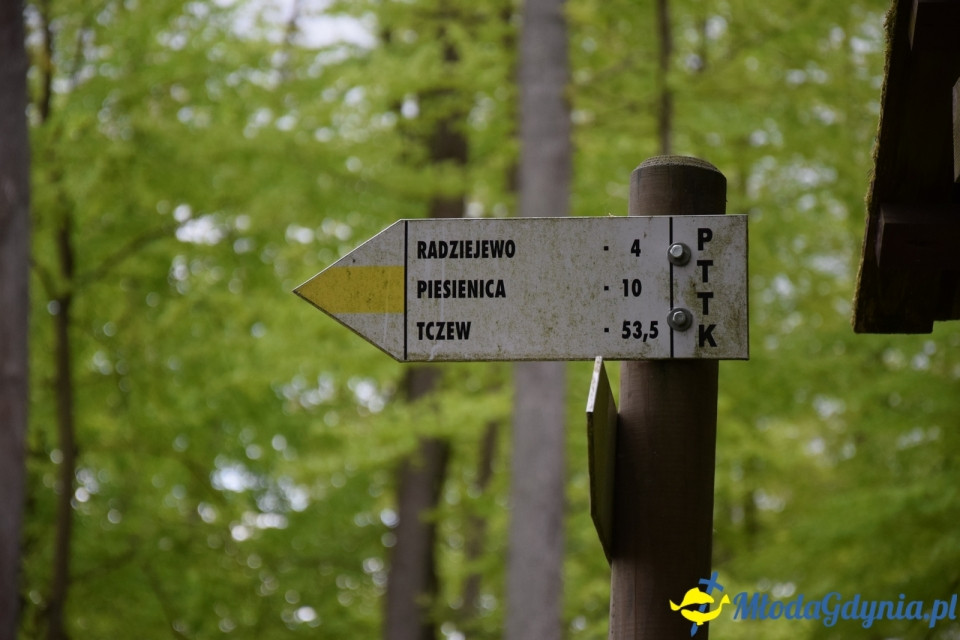 Wycieczka PTTK Klubu Turystycznego Wybrzeże do Arboretum w Wirtach