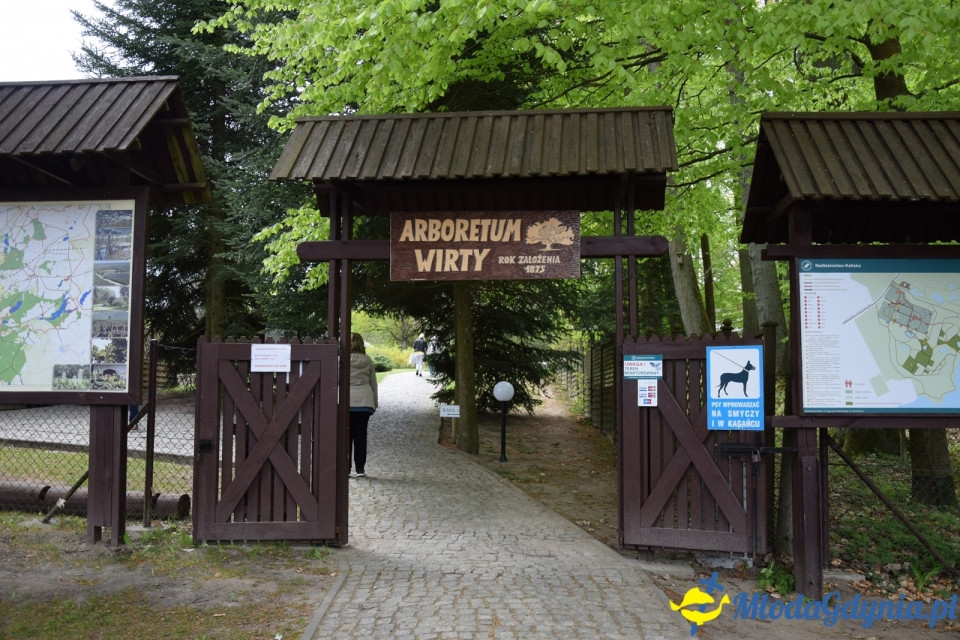 Wycieczka PTTK Klubu Turystycznego Wybrzeże do Arboretum w Wirtach