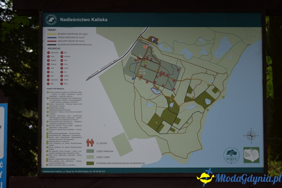 Wycieczka PTTK Klubu Turystycznego Wybrzeże do Arboretum w Wirtach