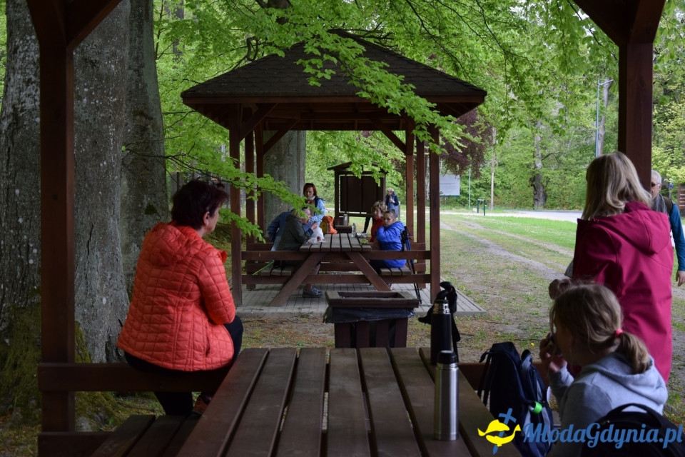 Wycieczka PTTK Klubu Turystycznego Wybrzeże do Arboretum w Wirtach
